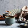 武雄温泉で芸者を呼ぶのは可能？旅を彩る本当の魅力と歴史
